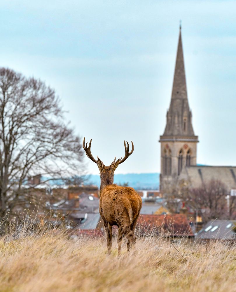 Photograph by VINAYAK VINOJ