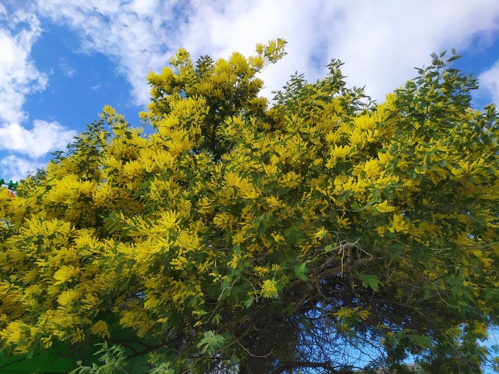 Фотография автора Анастасия Демина