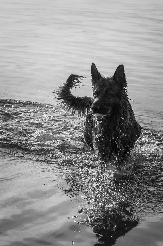 Photograph by Ольга Рачилова