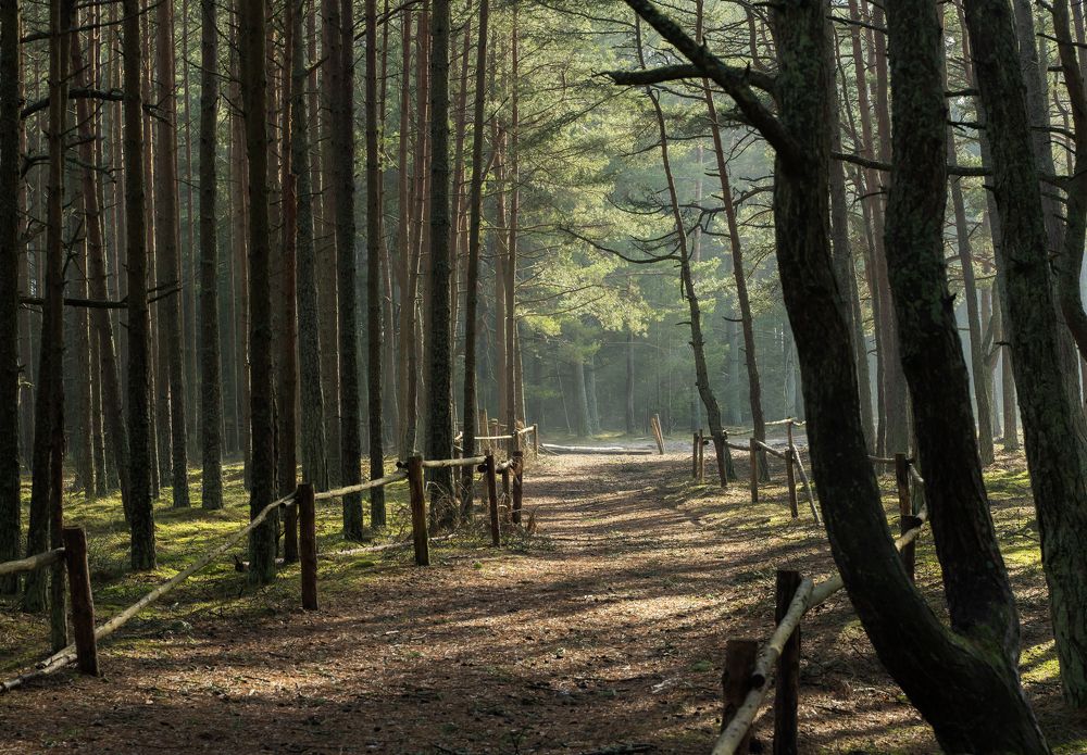 Photograph by Максим Бычин