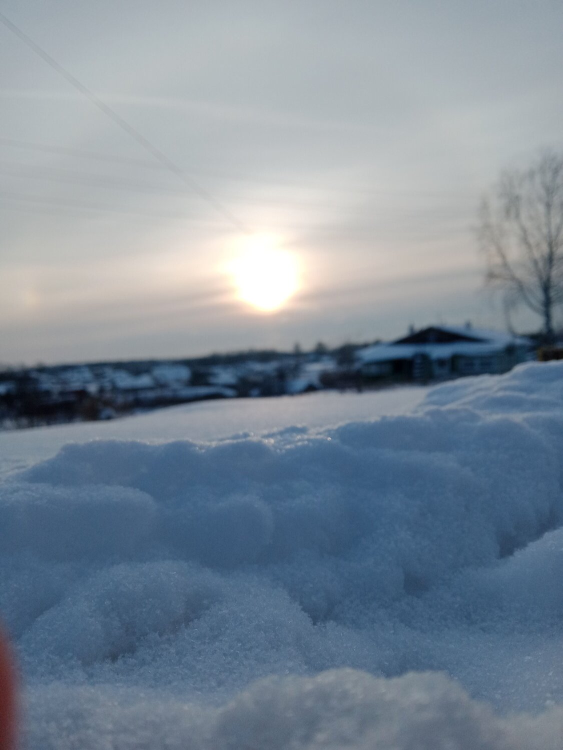 Photo #10375094