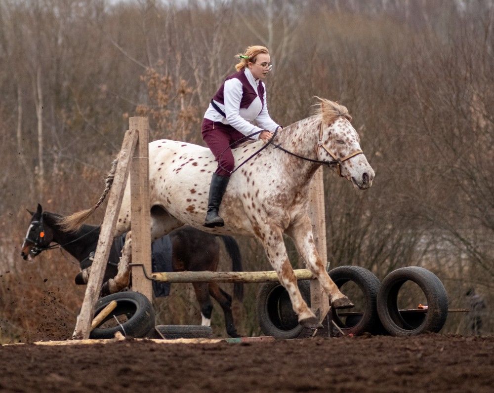 Photograph by Алексей Миронов