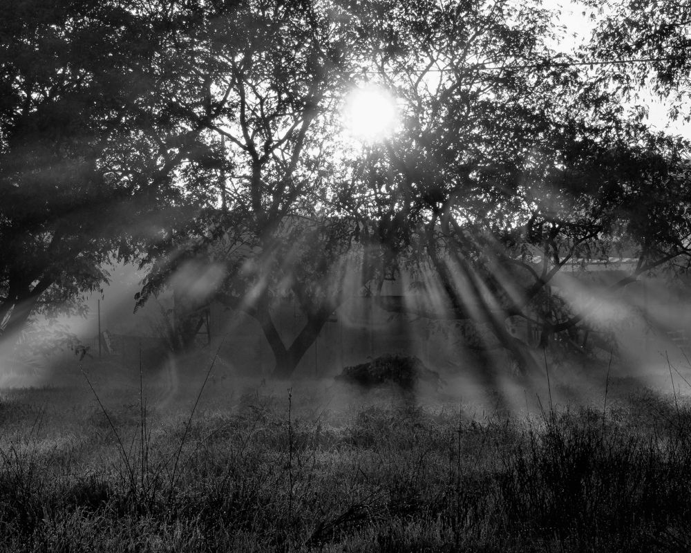 Фотография автора Dmitry