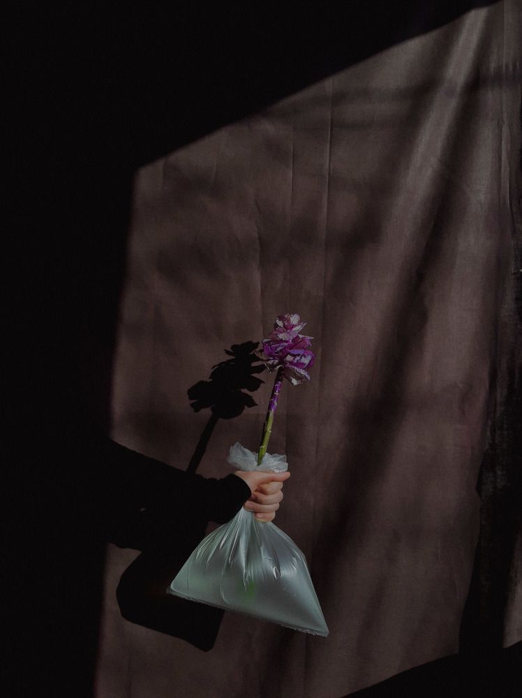 Photograph by Алия Латыйпова