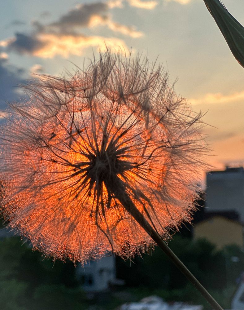 Photograph by Руслана