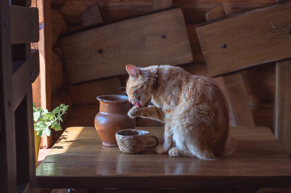 Photograph by Светлана Корнелюк