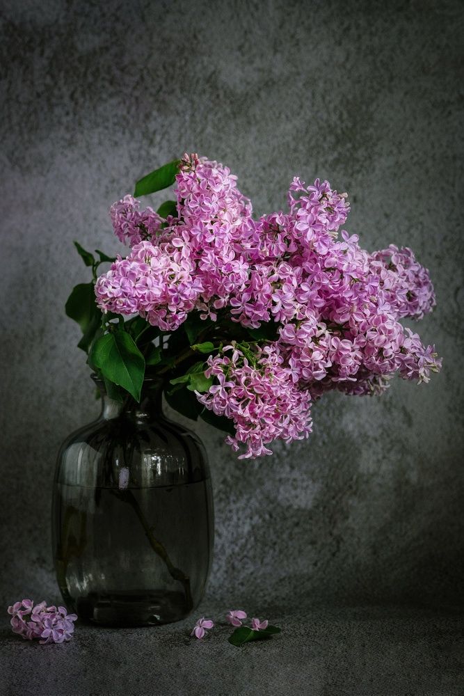 Photograph by Елена Маслова