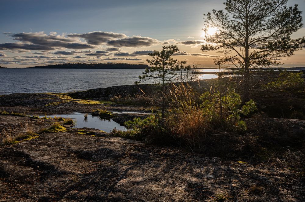 Photograph by Сергей Петров