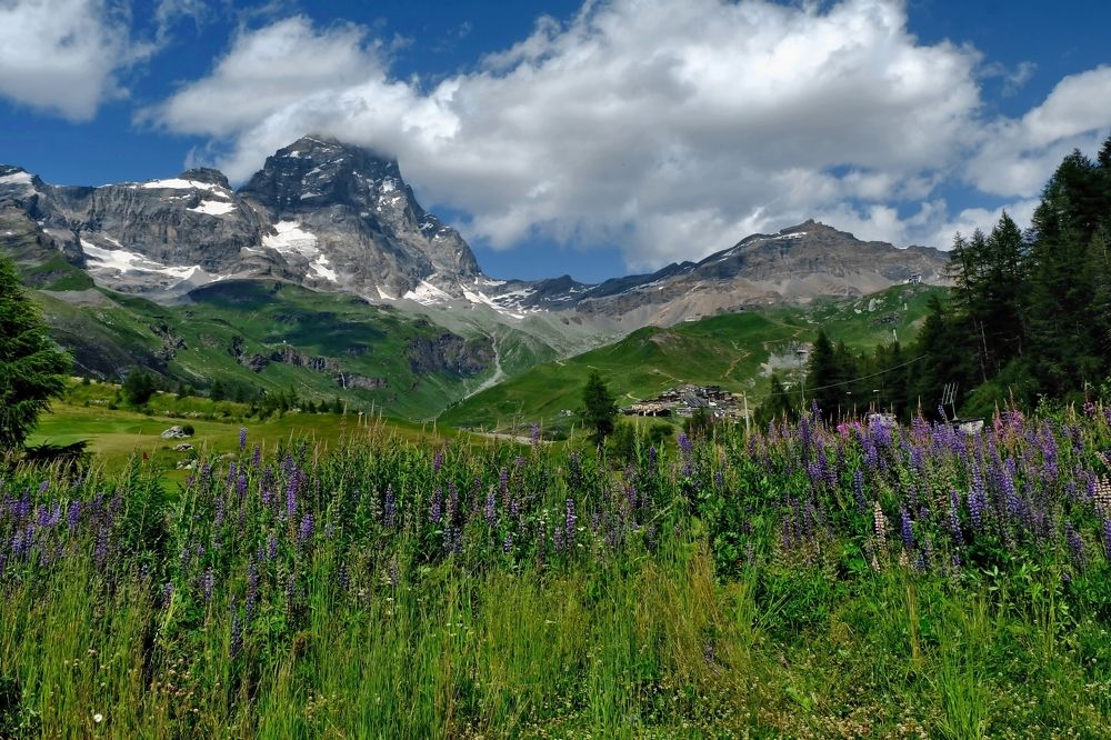 Фотография автора Dmitry