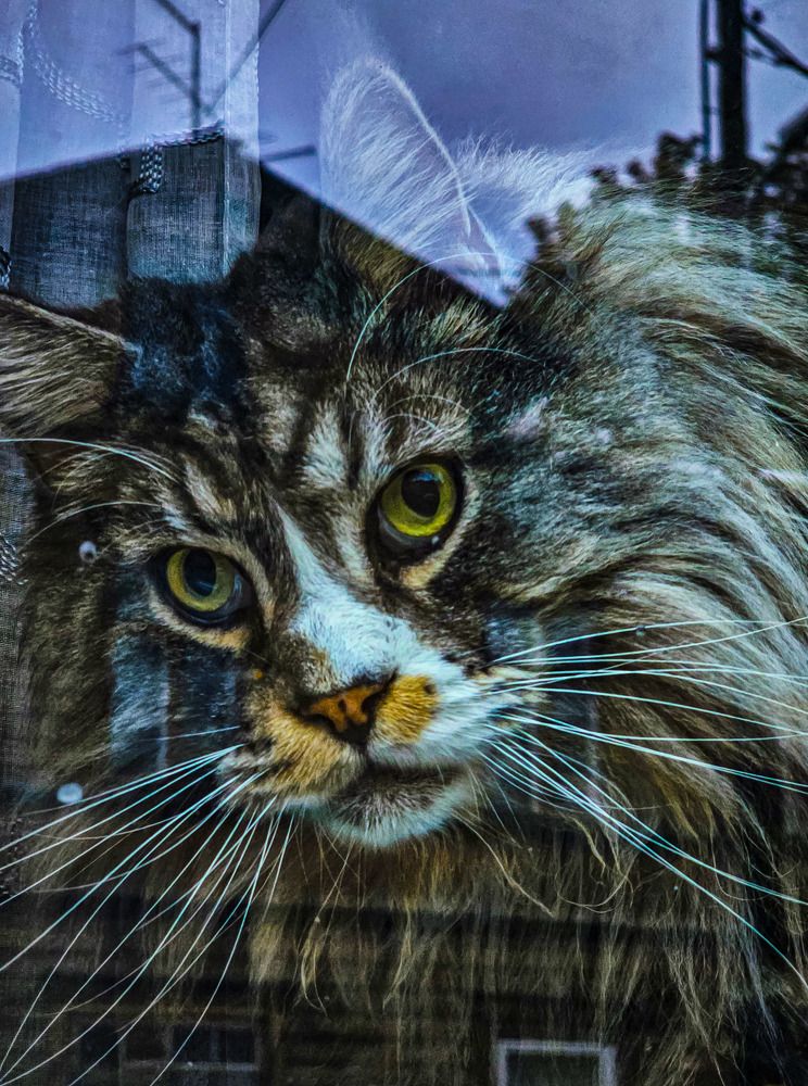 Фотография автора Liudmila Kostina