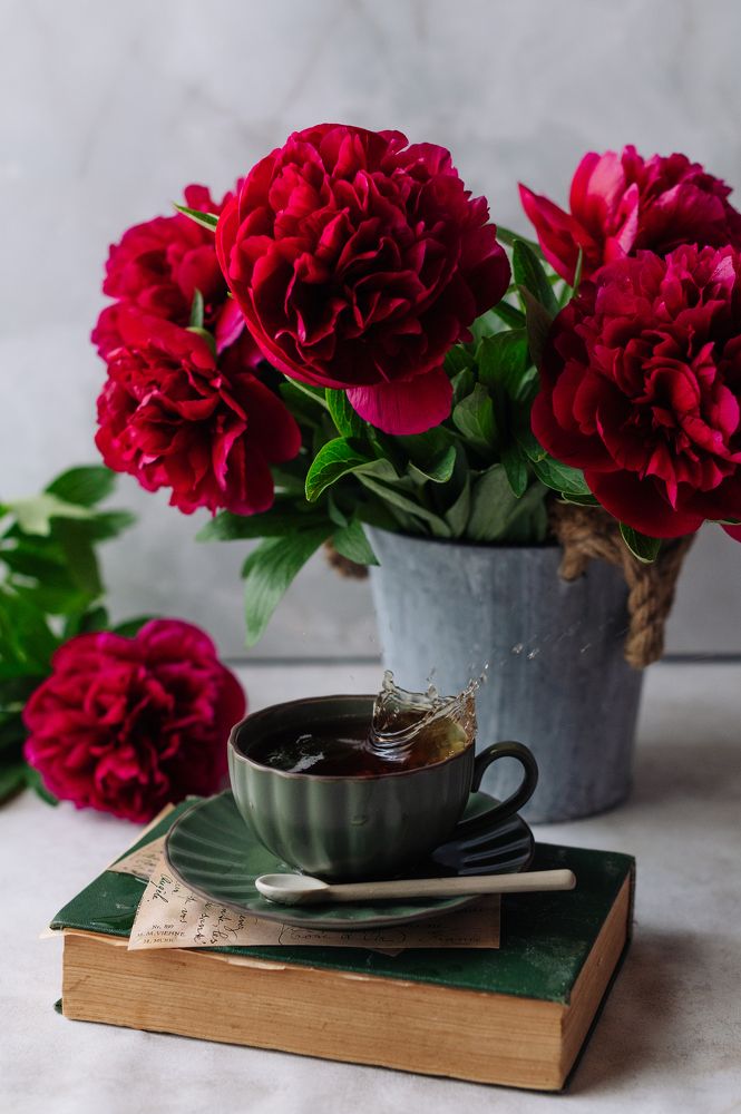 Photograph by Дарья Гомза