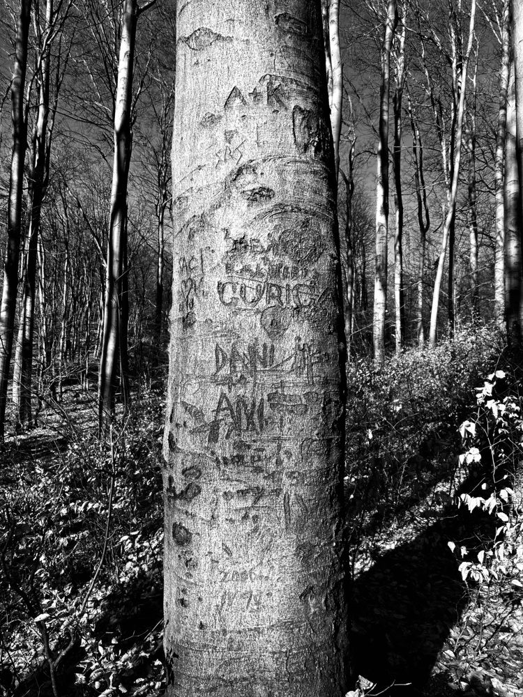 Фотография автора Füleki Elvíra