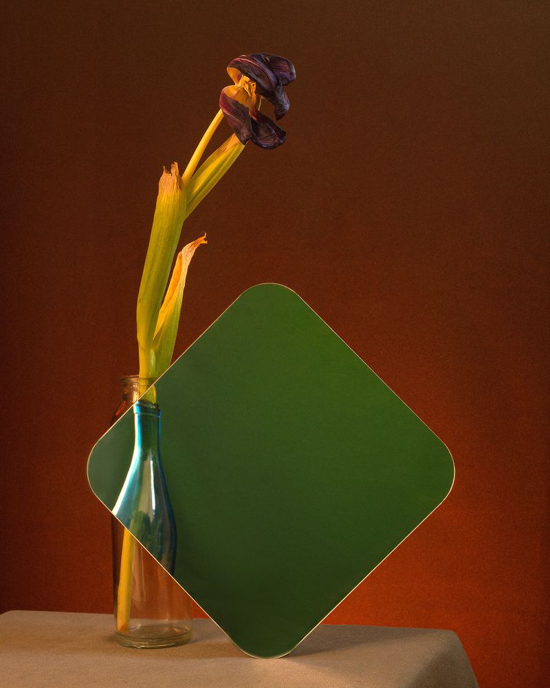 Photograph by Aliaksei Shandalin