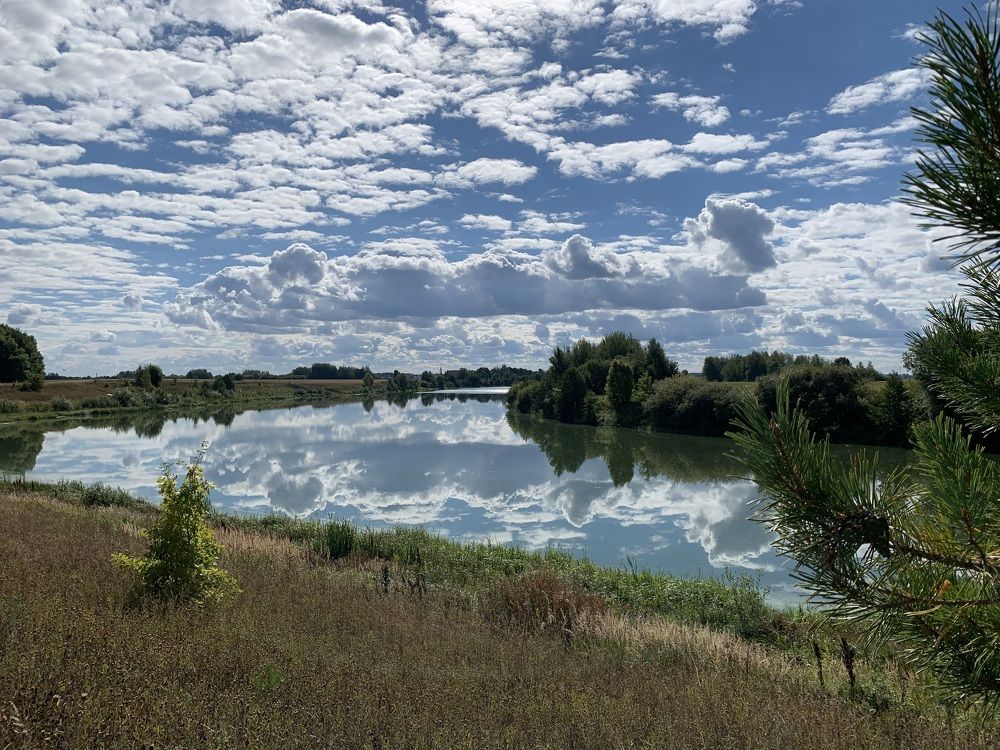 Photograph by Юлия Дубино