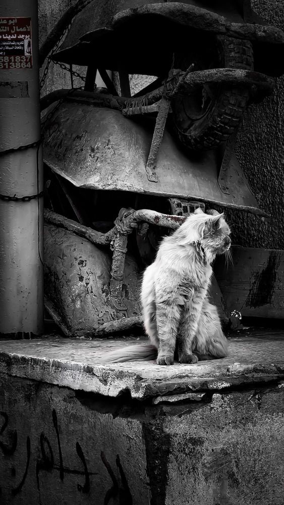 Photograph by Prima Warda