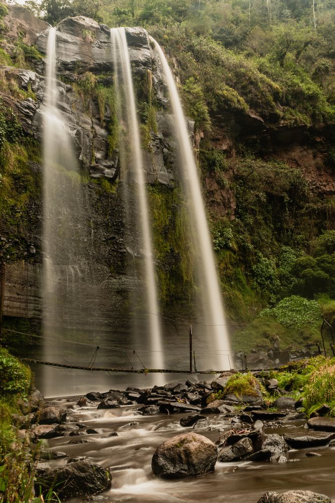 Photograph by Sandra Alvarez