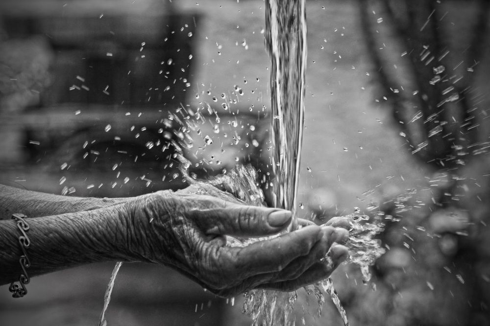 Photograph by Carlos Orozco Carlos Orozco bass