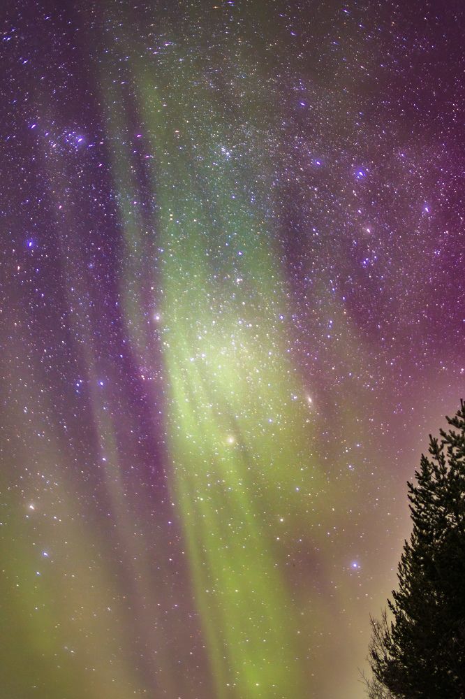 Photograph by Юлия Калугина