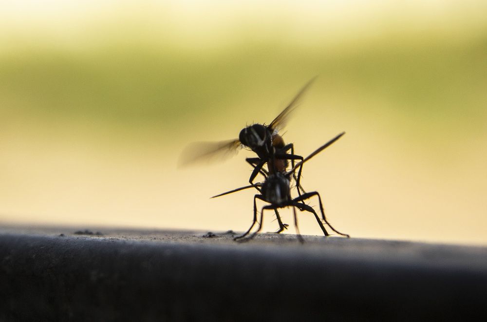 Фотография автора Андрей Рогов