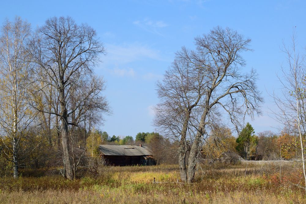 Photograph by Андрей Пляскин