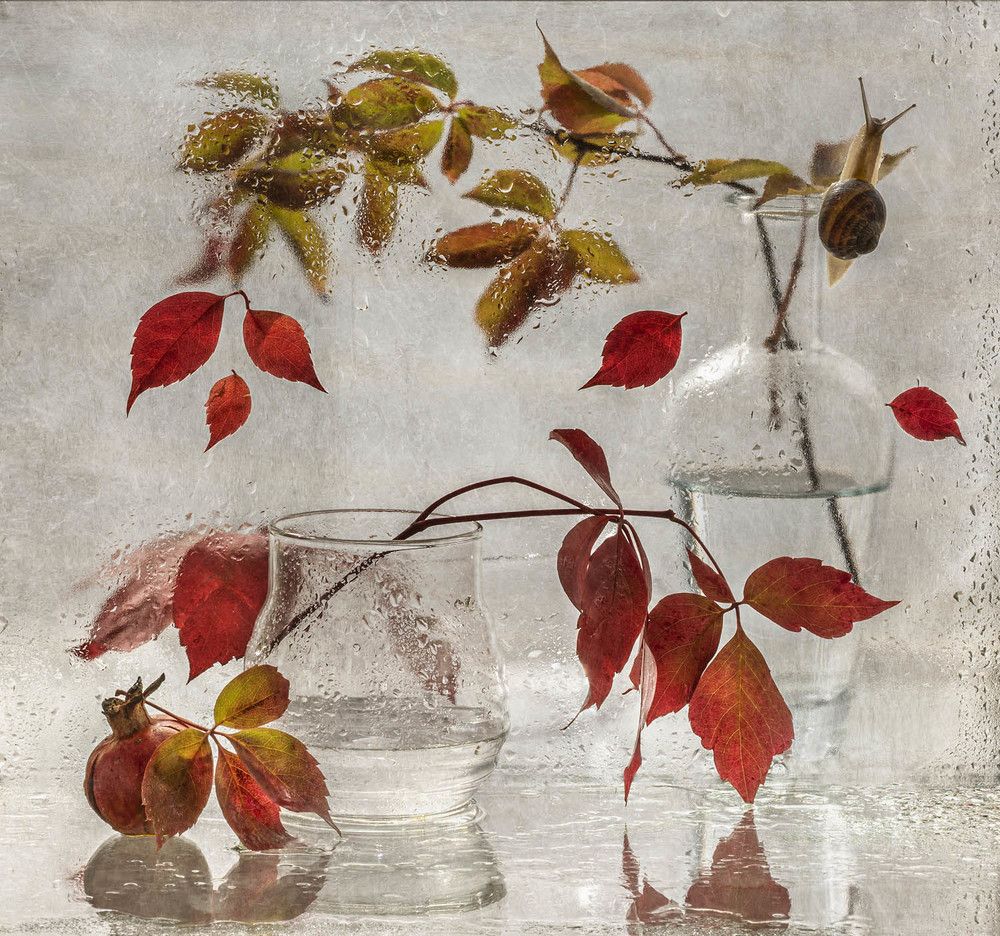 Photograph by Солодар Виктория