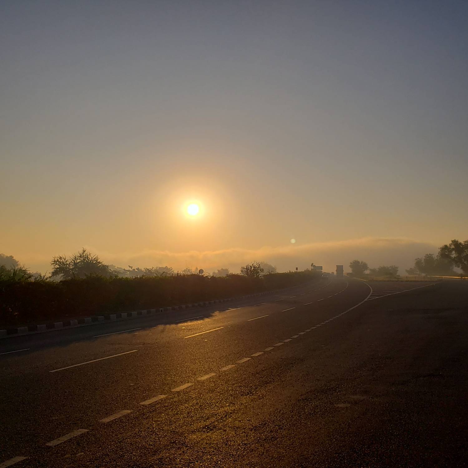 Photo #10375514