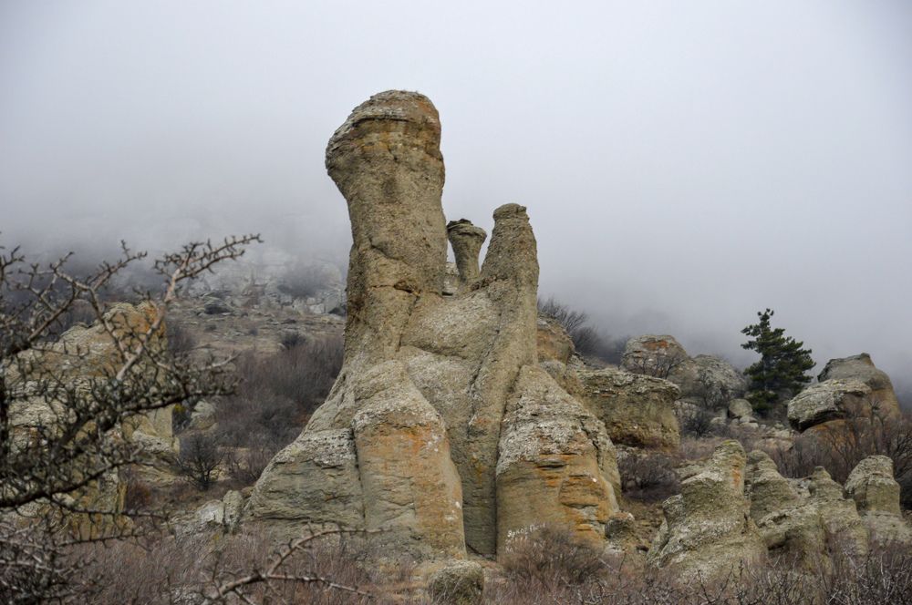 Photograph by Юлия Зигангирова