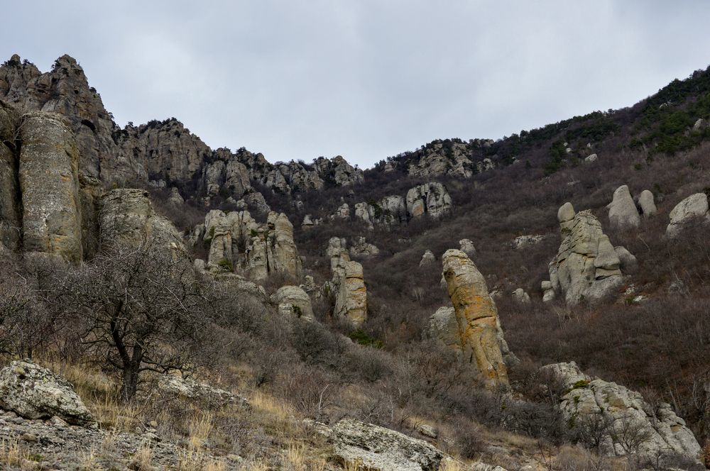 Photograph by Юлия Зигангирова