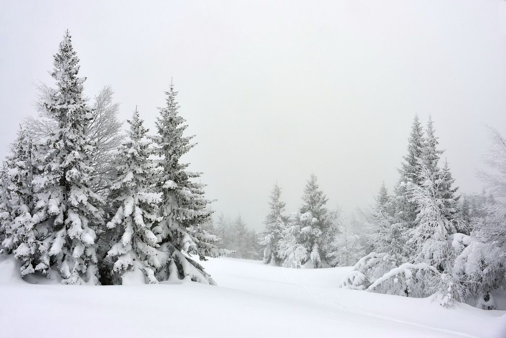 Photograph by Павел Фёдоров