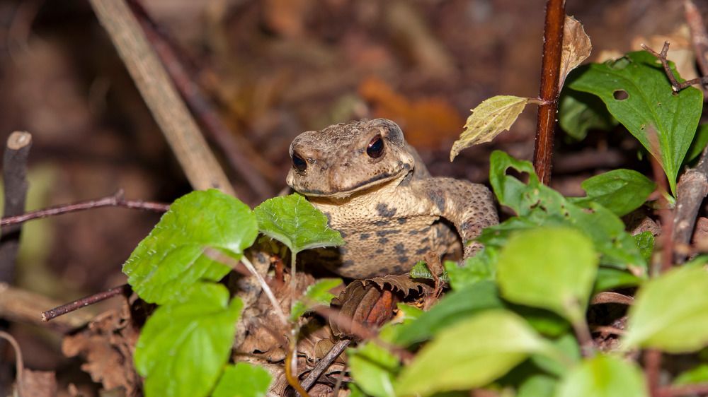 Photograph by Ilya Ovcharenko