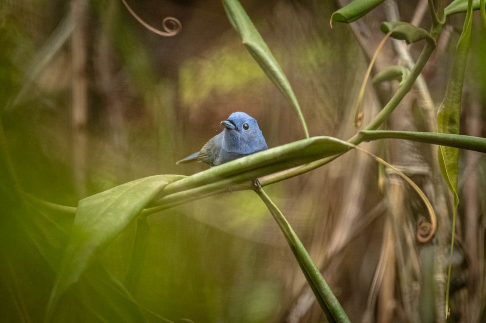 Photograph by Sampath Perera