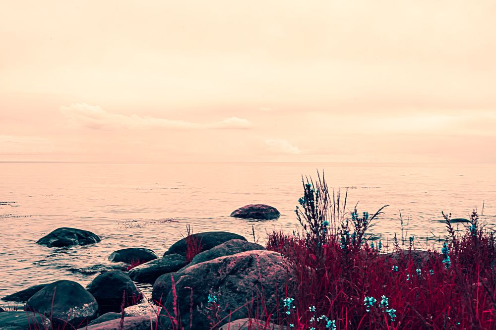 Фотография автора Николай Лазарев