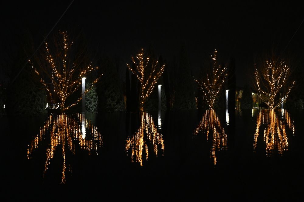 Photograph by Владимир Зеленский