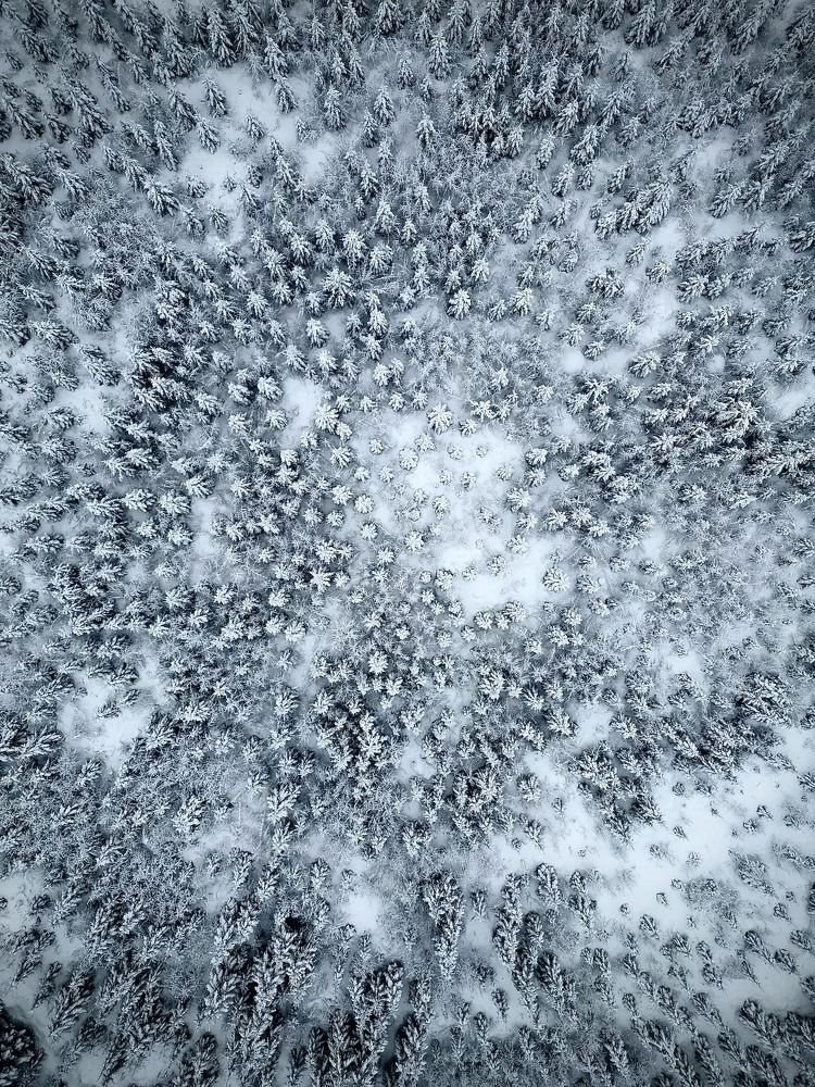 Photograph by Kristina Zolotova