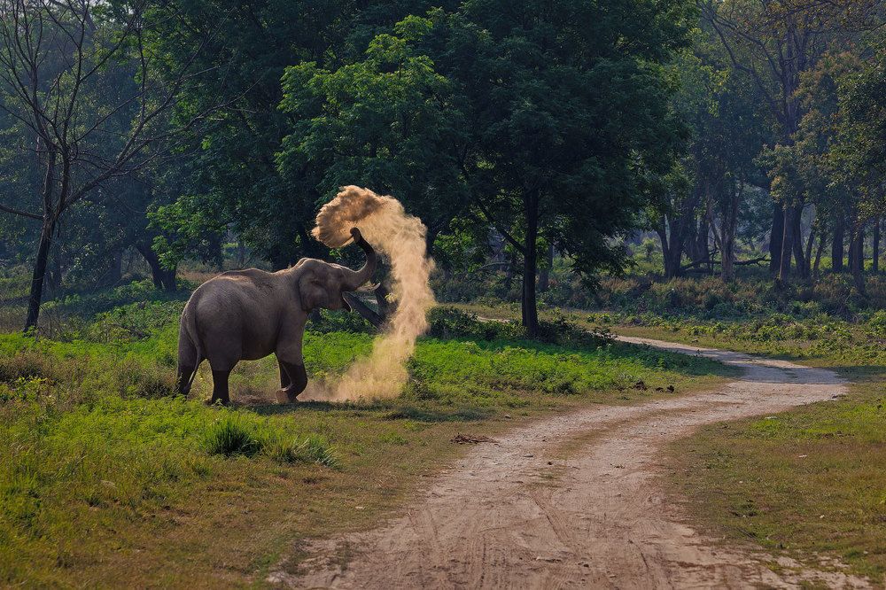 Photograph by Anindita Nandi