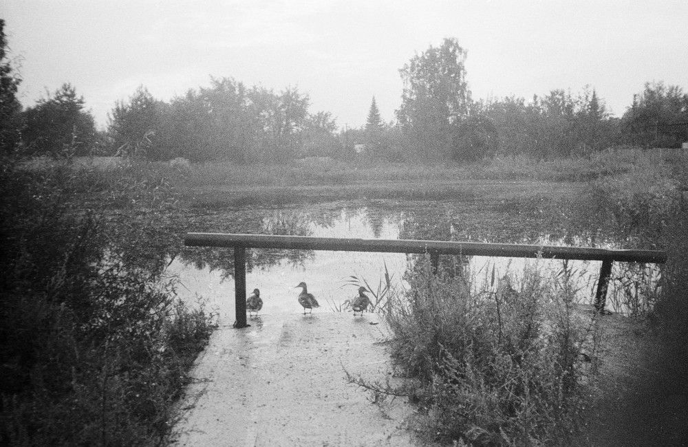 Фотография автора Александра Ерлинекова