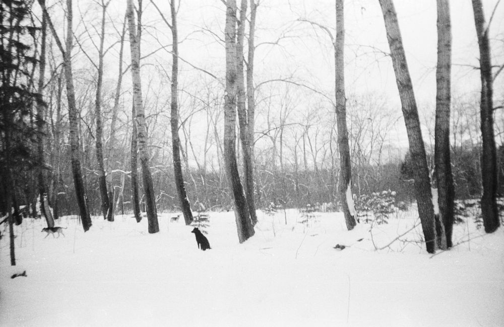Фотография автора Александра Ерлинекова