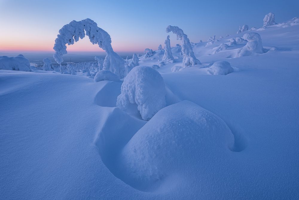 Photograph by Евгений Антонов