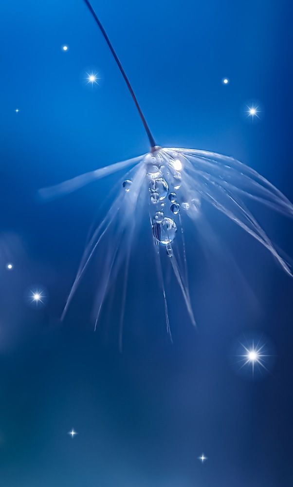 Photograph by Наталья Лищинская