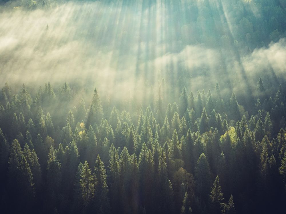 Лучи солнца