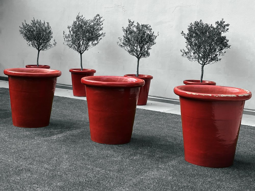 Photograph by Andrey Kupchenko