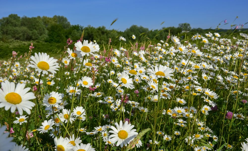 Photograph by Юлия Зигангирова