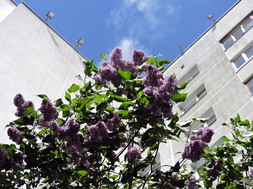 Photograph by Tatiana