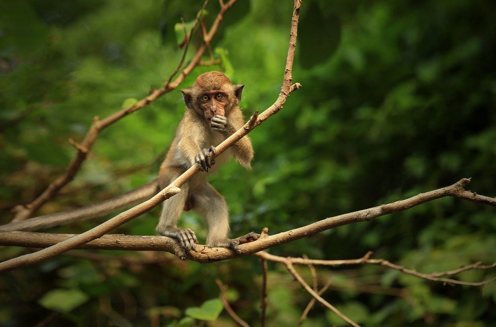 Photograph by Виктор Смирнов