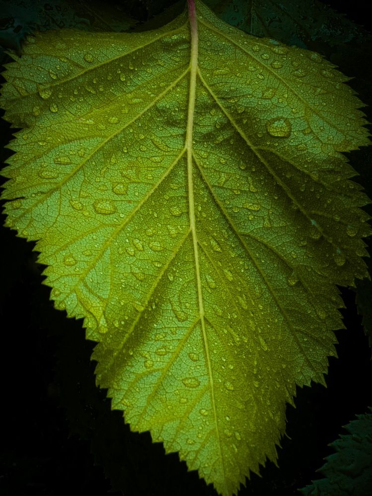 Photograph by Konstantin Martynov