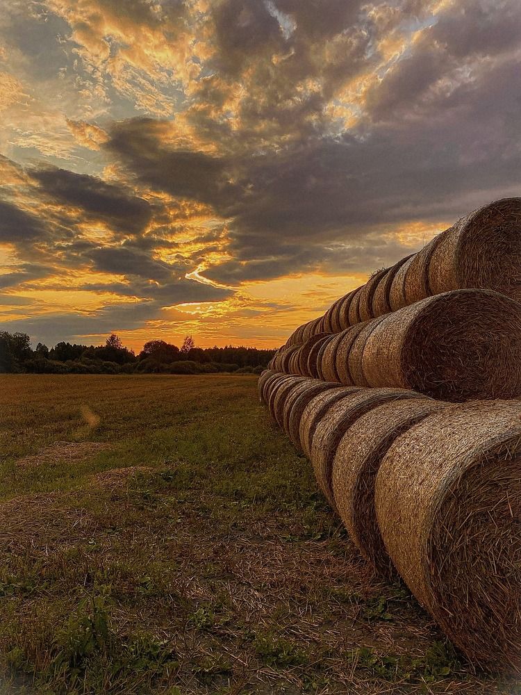 Фотография автора Светлана Герасимук