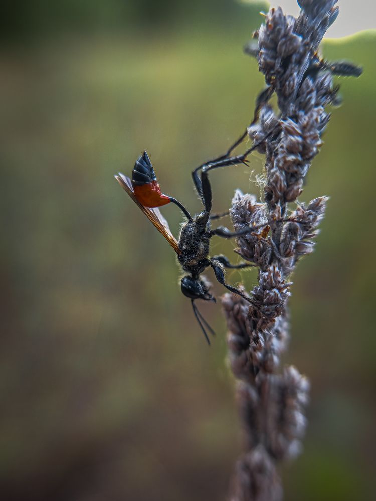 Photograph by Konstantin Martynov