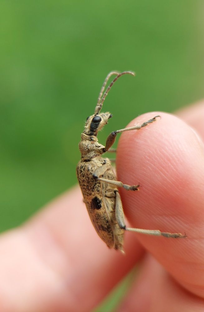 Photograph by Данила Черезов