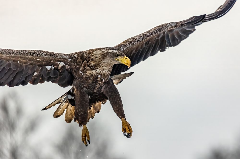 Фотография автора Irina