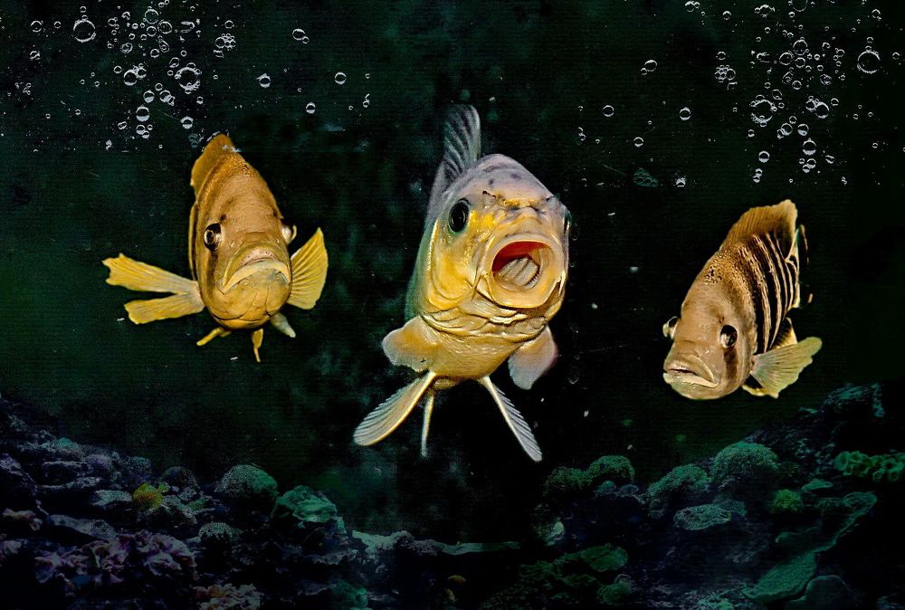 Photograph by Лидия Ушакова